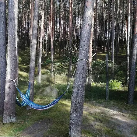 Near Sea & Pine Forest Σπίτι διακοπών Ρίγα